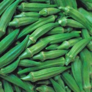 Lady Finger