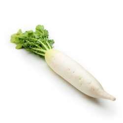 Radish