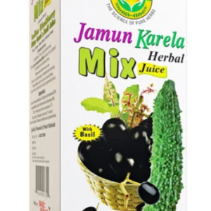 Basic Ayurveda Jamun Kerala Juice 16 OZ