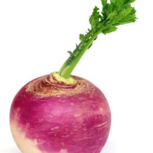 Turnip / Shalgam