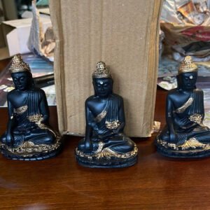 Pooja Lord Buddha black