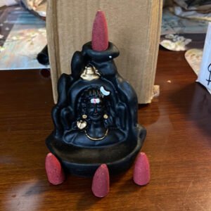 Pooja black Mahakal
