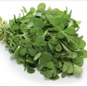 Methi fresh