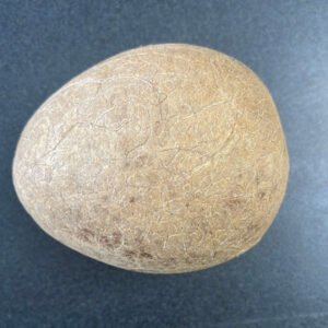 Dry Coconut Whole